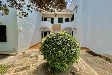 Boschapartamento De 2 Dormitorios Y Con Piscina Ciutadella  Eksteriør billede